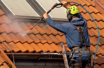 Démoussage et hydrofuge de toiture à Néronde